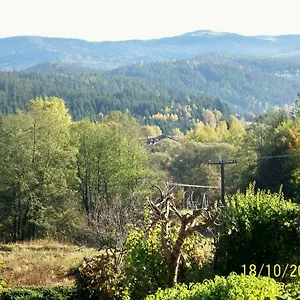Gasthof Zum Fliegenden Hollander Zwiesel